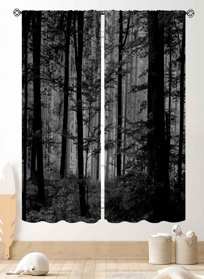 TKUYO Forest Curtains, Gothic Natural Scenery Fantasy Dark Black Misty Foggy Mysterious Forest Woodland Tree Art Printed Window Drapery Treatments for Bedroom Living Room Home Halloween Decor,84"x63" Inch - Image 1